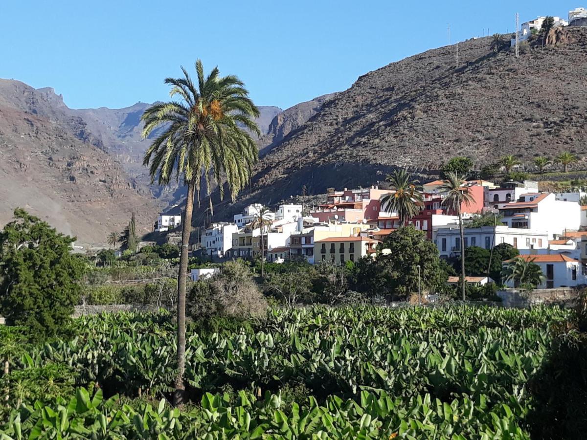 Los Olivos Плая де Сантяго Екстериор снимка