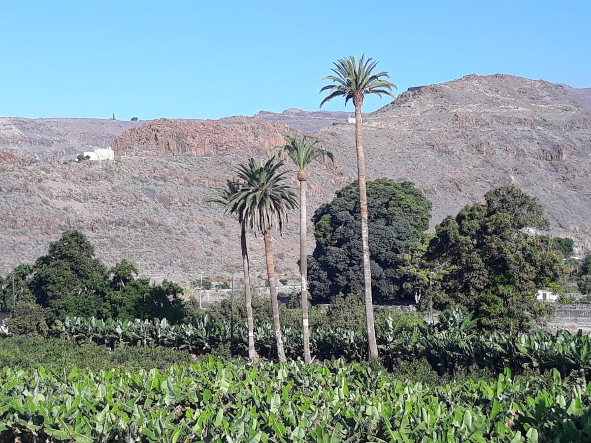 Los Olivos Плая де Сантяго Екстериор снимка