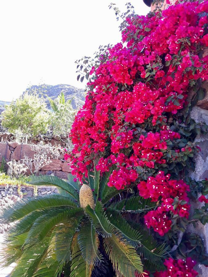 Los Olivos Плая де Сантяго Екстериор снимка