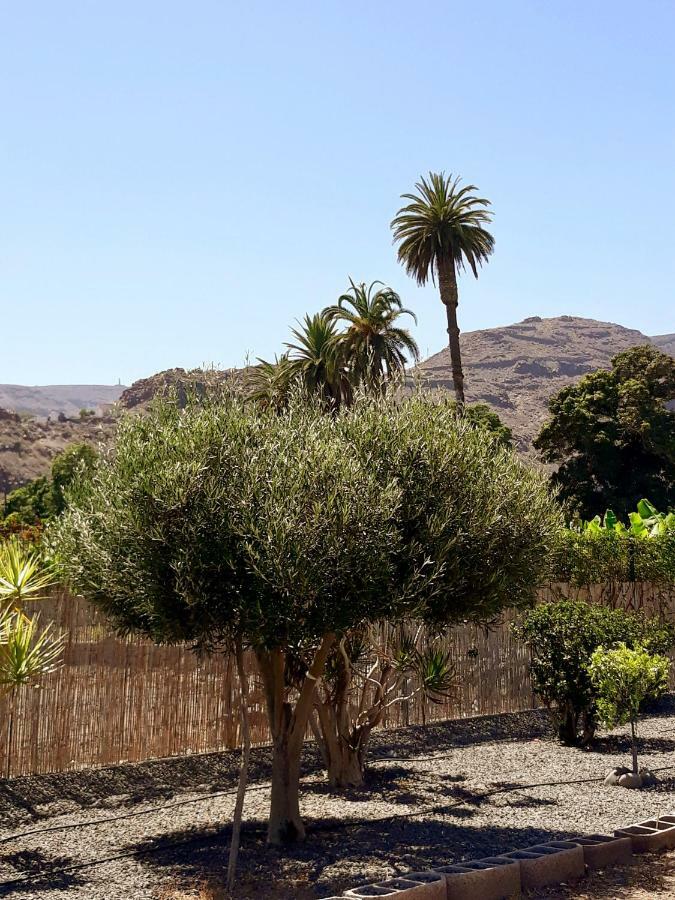 Los Olivos Плая де Сантяго Екстериор снимка